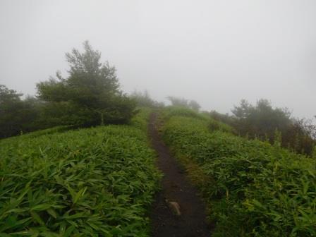 11:26　霧が濃くなって来た、最終目的地飯鞠山に向かう