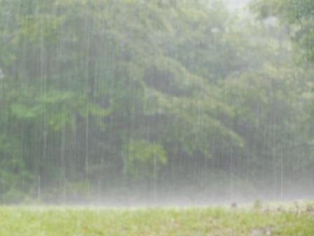 12:16　東屋で雨宿り　うちつける雨、時折雷鳴