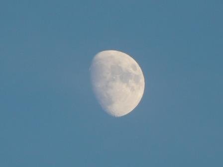 夕方、南の空に白い月
