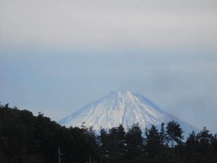 田より　富士山