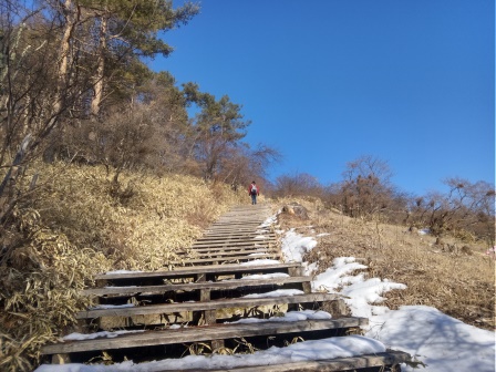 雪の残った木の階段を注意深く登る