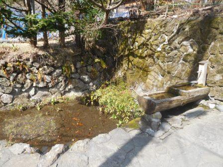 13:53　赤沢宿散策　水が引かれた所に水芭蕉が咲いていた"