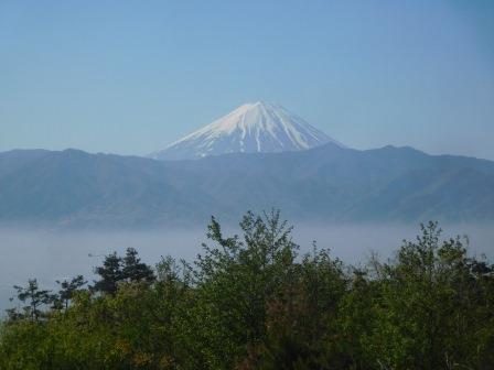 8:43　棚山へ　ほったらかし温泉より　富士山