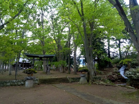 7:06　朝の散歩　右の端に小さな滝がある逢瀬神社