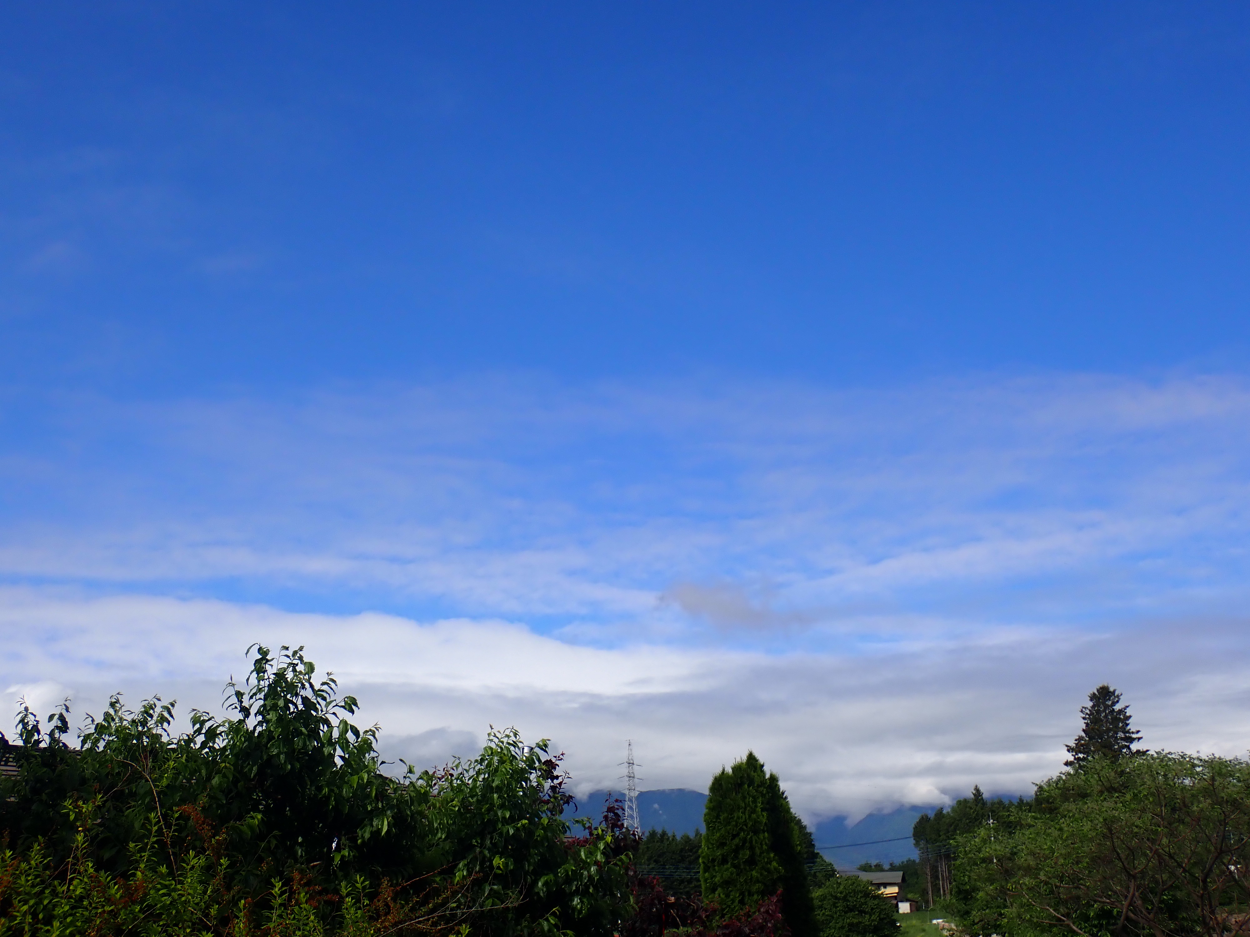 昨日の雨の影響か、朝方南アルプスに雲がかかっていた