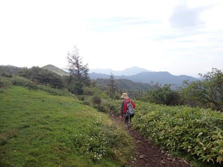 9:05　登りが終わって、飯盛山、大盛山、平沢山三山の尾根歩きの様相