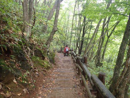 12:16　急な木の階段を善次郎滝に向けて降りて行く