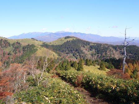 11:13　山道に入り尾根歩き、富士見台高原と中央アルプスの絶景