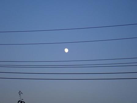 昨夕、東の空に白い月