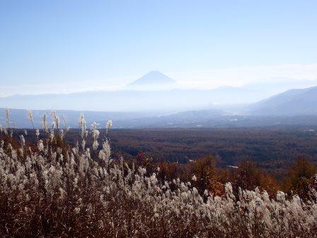 10:46　すすき野原に富士山