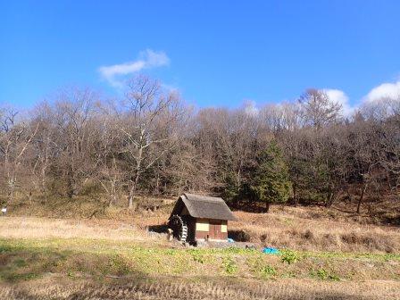オオムラサキ自然公園　棚田と水車小屋