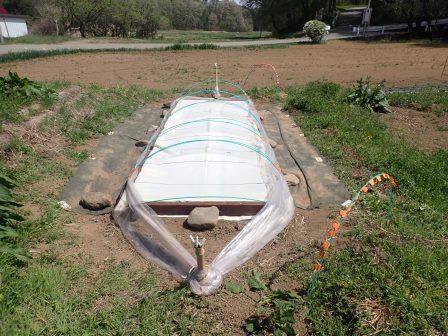 昼食後の散歩　午前に設営した苗代