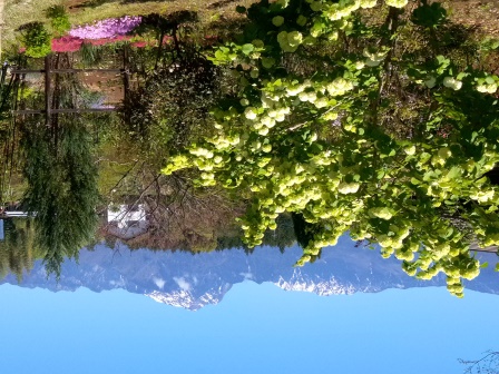 雲が去り、春爛漫の山里