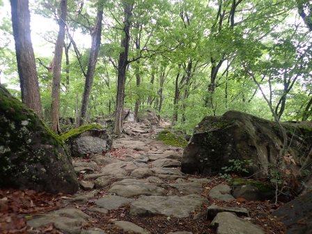 8:55　大好きな石畳の山道の始まり