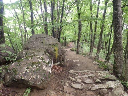 9:01　石畳の山道の終わり
