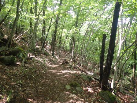 11:32　塩澤寺方面へ寄り道