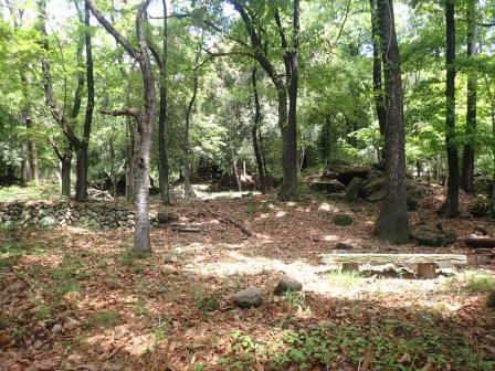 11:44　思いがけず、聞いたばかりの地蔵古墳に遭遇、千塚の地名は千の塚とのこと