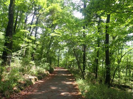 12:38　帰りは舗装路経由