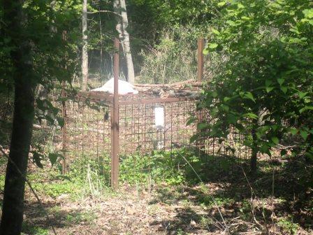 9:08　使われていないようだが熊用の箱罠のようだ