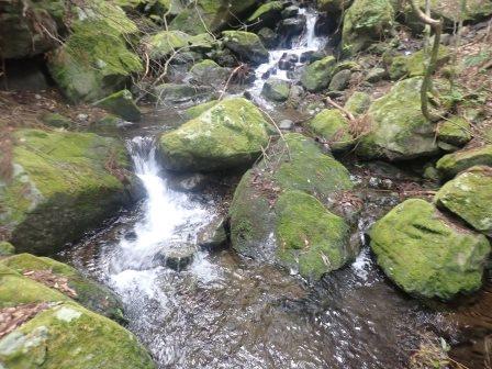 9:28　心地良い沢音を聞きながらの山行き