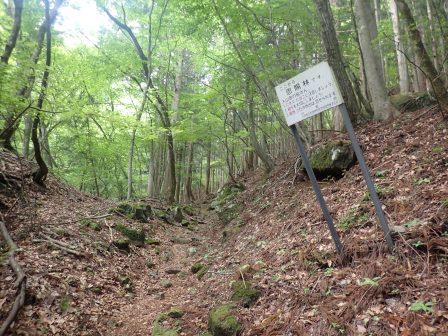 9:37　恩賜林の始まり