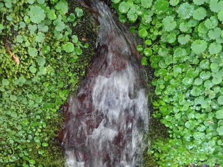 10:05　仙人水　近景