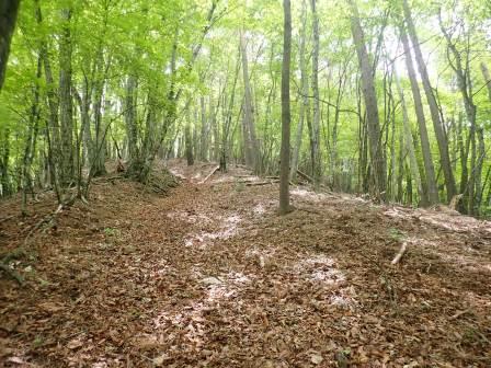 11:03　木漏れ日が明るい