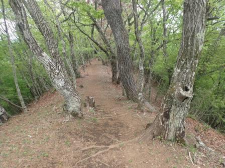 11:24　山頂より、赤岩、今倉山方面の山道"