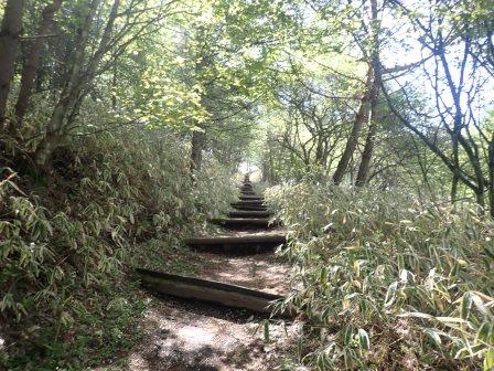 8:55　東屋以降は傾斜がややきつくなる