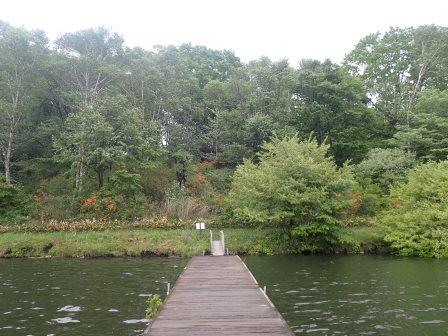 14:04　桟橋、ヤマツツジ、袂には熊除けのレジ袋に入ったラジオが鳴らされていた