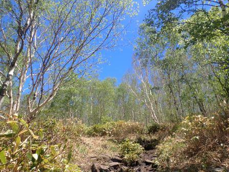 11:20　青空になった