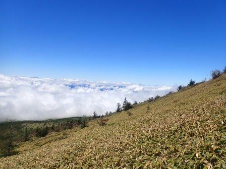 12:22　笹原に雲海