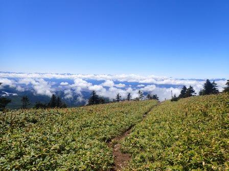 13:26　小根子岳方面に少し足を延ばしてみる