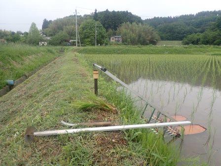 田の手押し除草