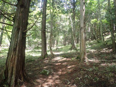 10:30　戻りは甘利山方面で、ひたすら登り