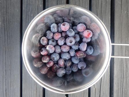 朝、ブルーベリーの収穫が本格化してきた