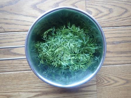 昼のビーフン用にとう立ちしてレース状になったパクチーの葉の収穫