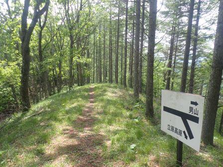 10:01　天狗山・男山分岐、天狗山の記載がない、何で・・・