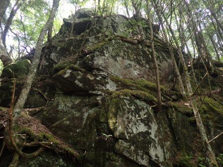 11:12　根がとぐろを巻いたような岩塊