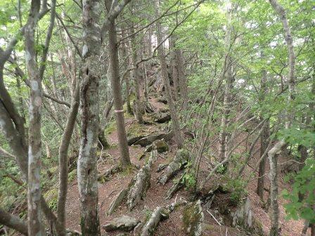 12:47　岩々の山道