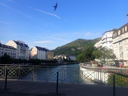  8:36　ポー川に鳥が飛び