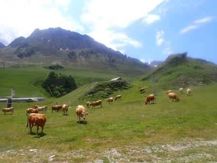 18:47　山麓駅周辺、ヨーロッパ型牧畜農業の始まり、落とし物に注意と言う所