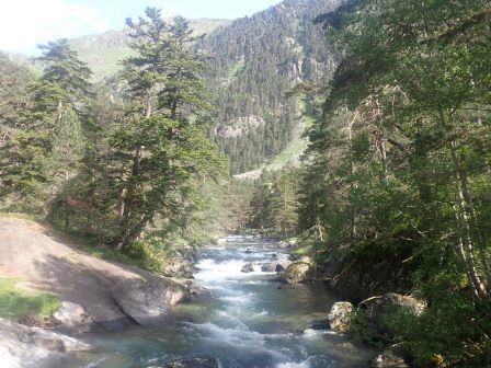 10:13　チェアリフトへの道すがら、沢を渡って