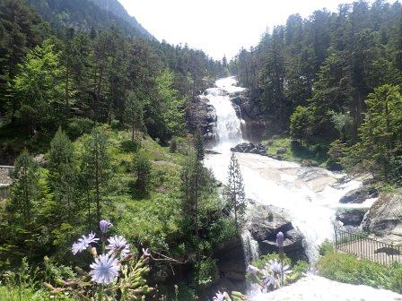 14:05　Pont d’Espagne （ポン・デスパーニュ＝スペイン橋）近くの滝と
	<br/>左下の青い花はキコリウム・インティブス（Cichorium intybus、キク科）