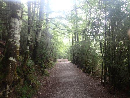9:35　オルデサ国立公園　幅広の山道を行く