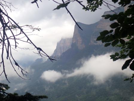 11:01　恐竜が出てきてもおかしくない雰囲気だ