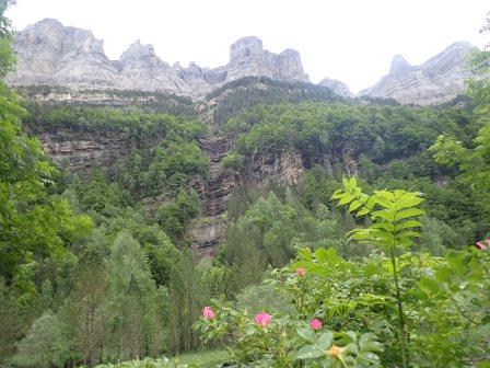 12:29　奇岩に野ばら