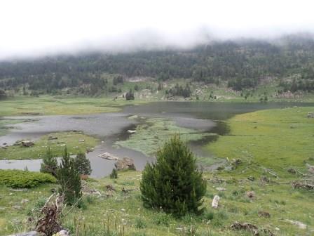 12:03　池と言うか、湿地帯と言うか、と言う感じ