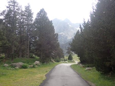 20:03　2、3組の散歩の方に遭遇した車道歩き