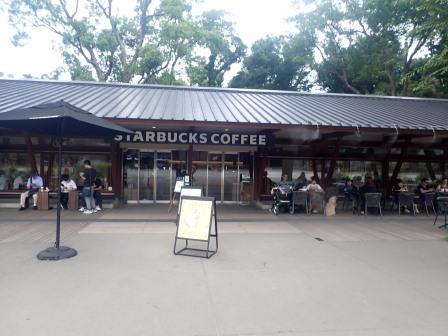 9:29　蚊の避難場所として使った上野公園内のスタバ、なかなか良い